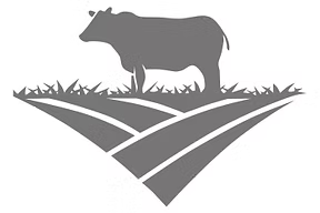 A gray vector graphic of a cow standing on a field with stylized curved rows behind it, set on a white background.