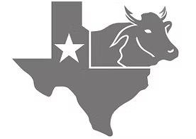 A gray silhouette of Texas with a white star and a white bull head graphic inside the state outline, shown on a white background.